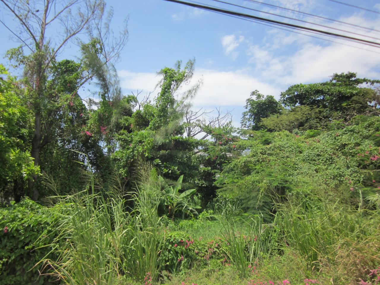 Twenty-Sixth image of Lot 9 Llandovery, St. Ann in Discovery Bay, St. Ann, Jamaica - property is For Sale