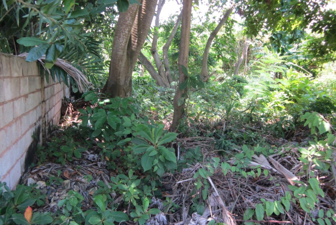 Ninth image of Lot 9 Llandovery, St. Ann in Discovery Bay, St. Ann, Jamaica - property is For Sale