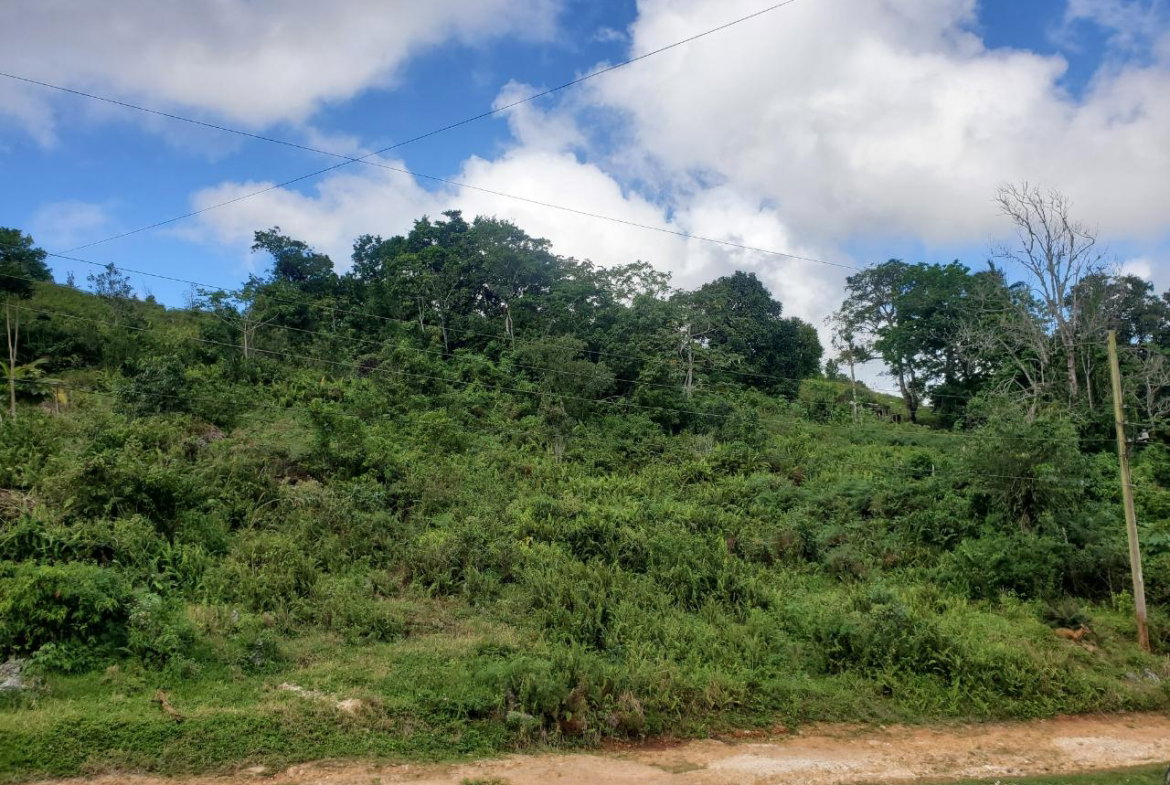Second image of 3- Ebenezer in Bamboo, St. Ann, Jamaica - property is For Sale