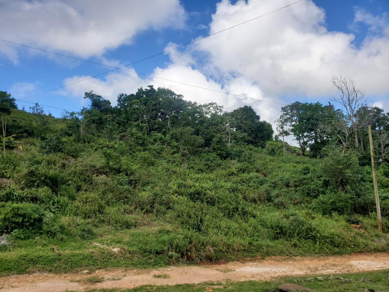 Second image of 3- Ebenezer in Bamboo, St. Ann, Jamaica - property is For Sale