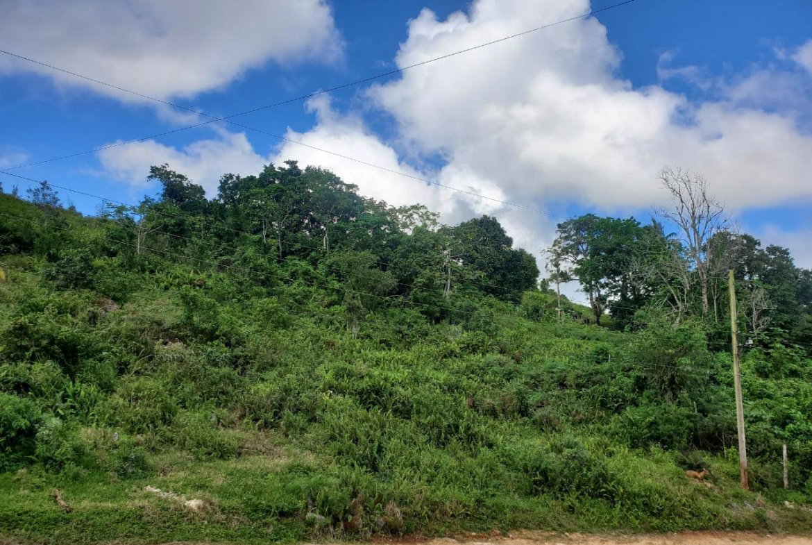 First image of 3- Ebenezer in Bamboo, St. Ann, Jamaica - property is For Sale