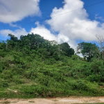 First image of 3- Ebenezer in Bamboo, St. Ann, Jamaica - property is For Sale