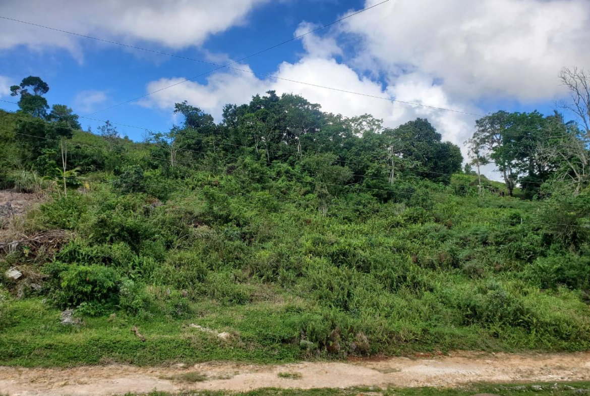 Third image of 3- Ebenezer in Bamboo, St. Ann, Jamaica - property is For Sale