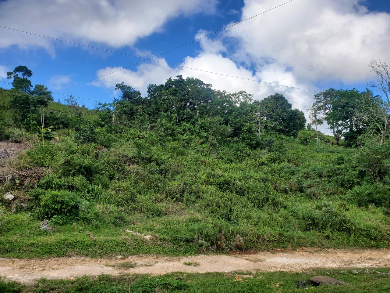 Third image of 3- Ebenezer in Bamboo, St. Ann, Jamaica - property is For Sale