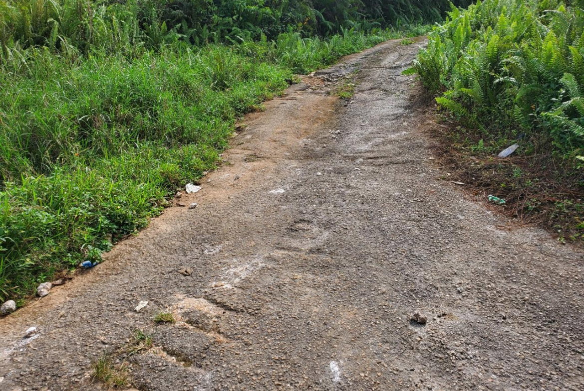 Fourth image of 3- Ebenezer in Bamboo, St. Ann, Jamaica - property is For Sale