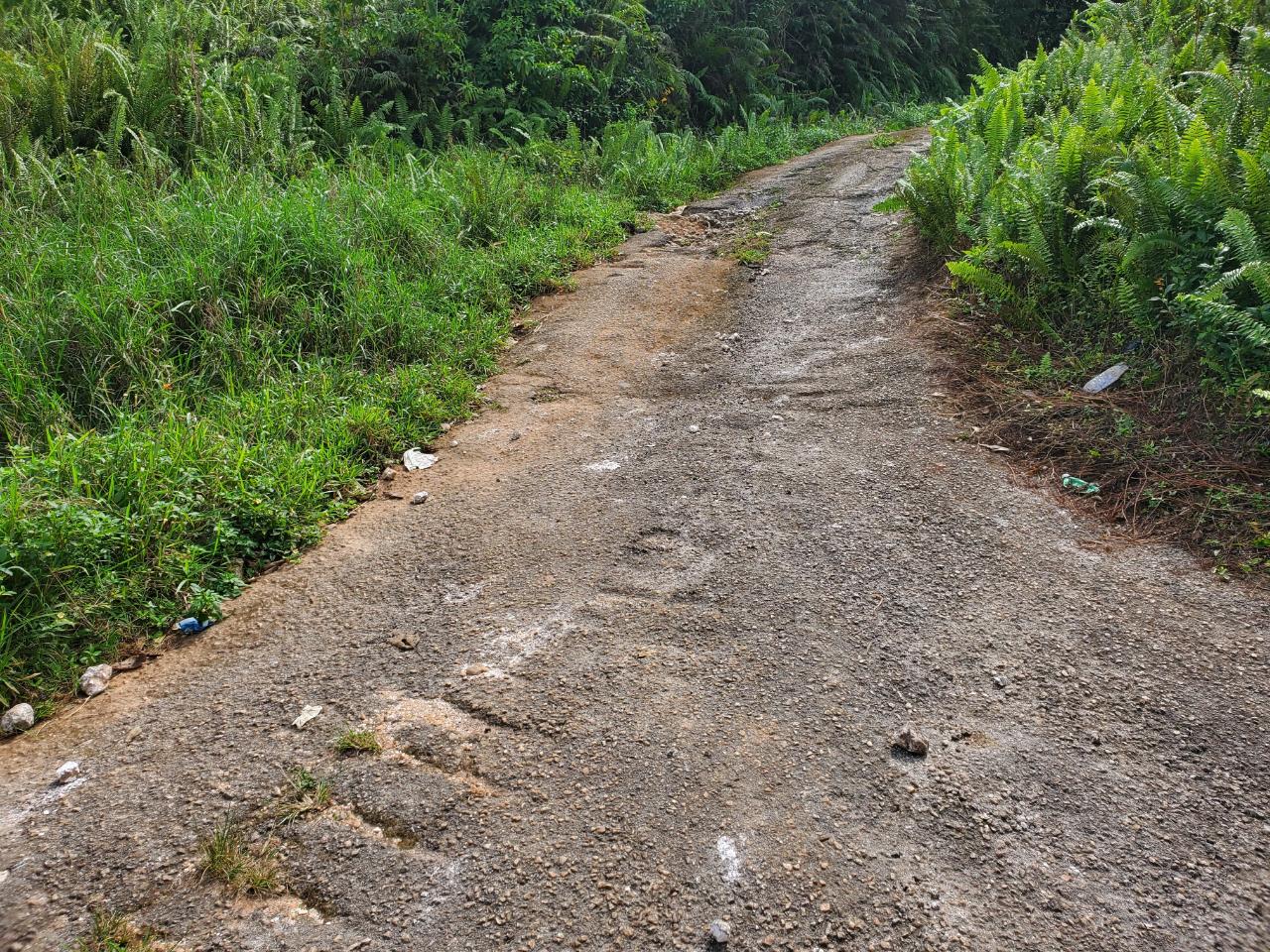 Fourth image of 3- Ebenezer in Bamboo, St. Ann, Jamaica - property is For Sale