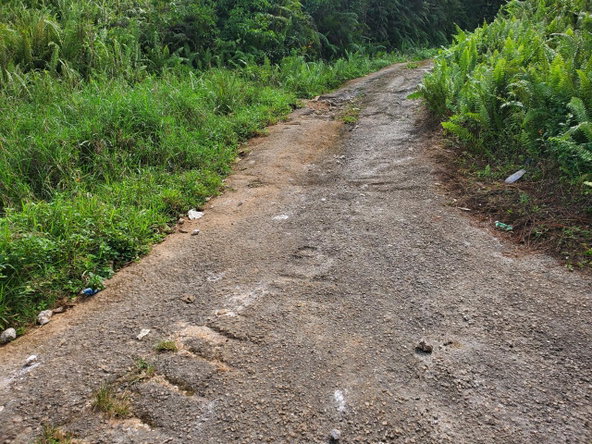 Fourth image of 3- Ebenezer in Bamboo, St. Ann, Jamaica - property is For Sale