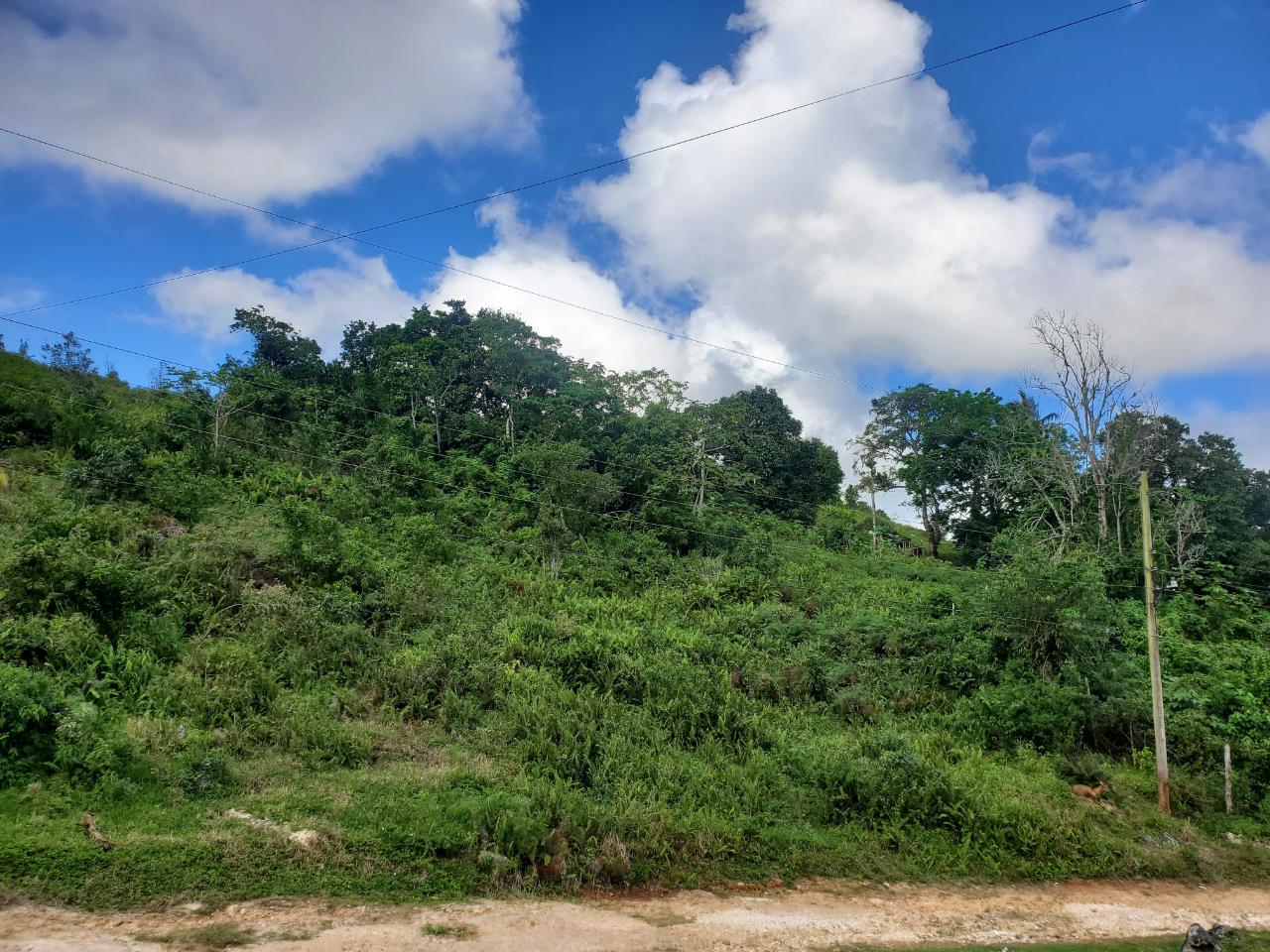 First image of 3- Ebenezer in Bamboo, St. Ann, Jamaica - property is For Sale
