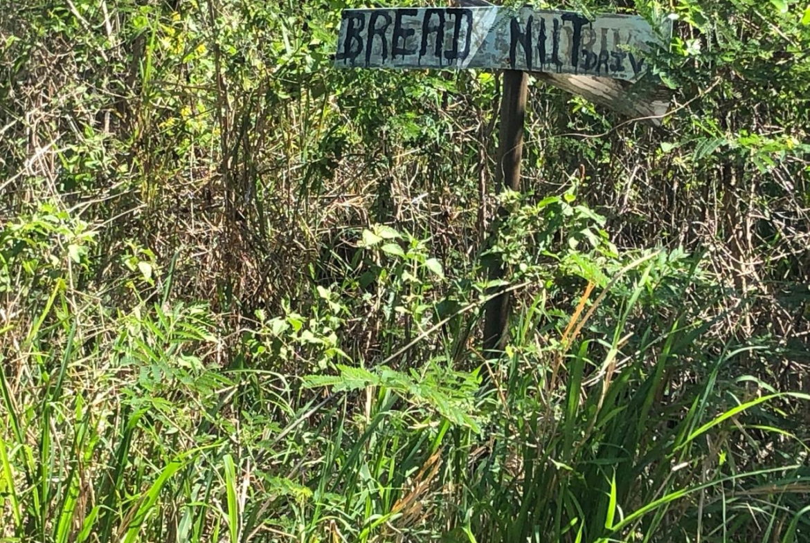 Second image of 43 Breadnut Drive, Ocean Vie in Discovery Bay, St. Ann, Jamaica - property is For Sale