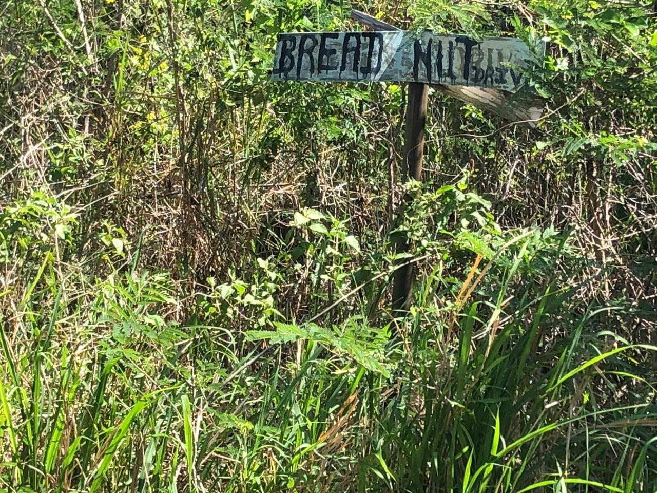 Second image of 43 Breadnut Drive, Ocean Vie in Discovery Bay, St. Ann, Jamaica - property is For Sale