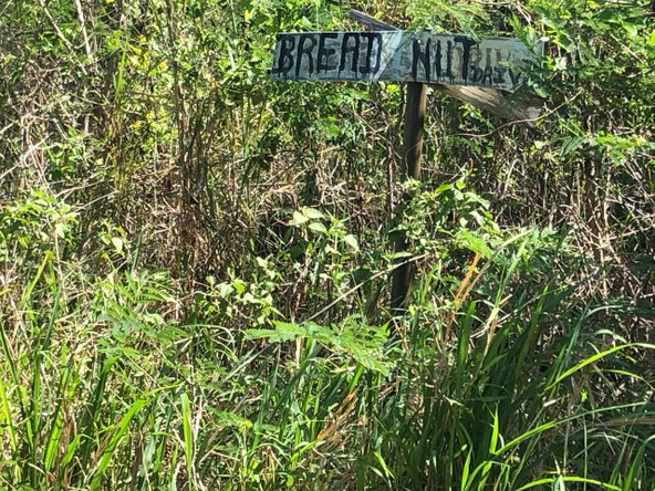 Second image of 43 Breadnut Drive, Ocean Vie in Discovery Bay, St. Ann, Jamaica - property is For Sale