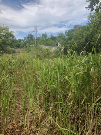 Fifteenth image of 43 Breadnut Drive, Ocean Vie in Discovery Bay, St. Ann, Jamaica - property is For Sale