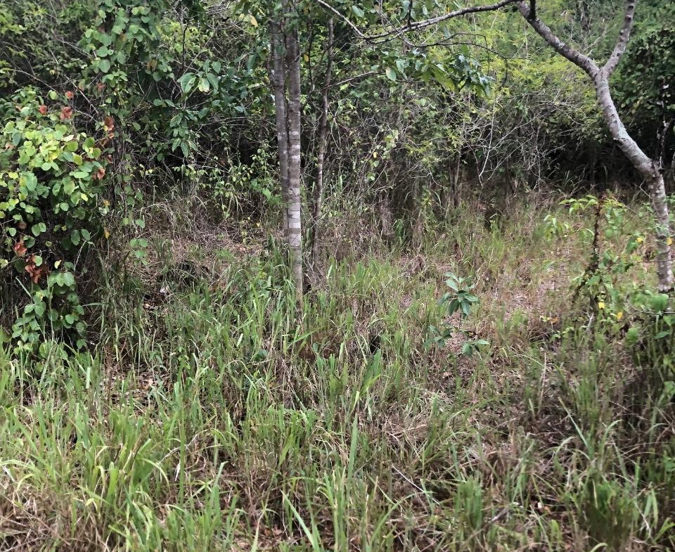 Seventeenth image of 43 Breadnut Drive, Ocean Vie in Discovery Bay, St. Ann, Jamaica - property is For Sale