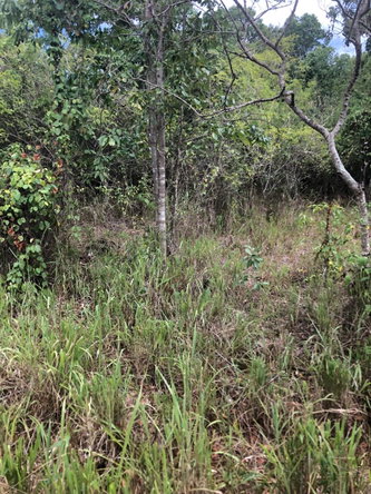 Seventeenth image of 43 Breadnut Drive, Ocean Vie in Discovery Bay, St. Ann, Jamaica - property is For Sale