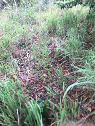 Twenty-First image of 43 Breadnut Drive, Ocean Vie in Discovery Bay, St. Ann, Jamaica - property is For Sale