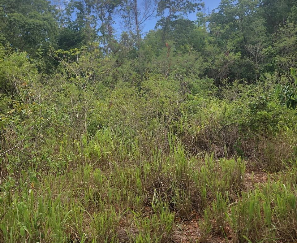 Twenty-Fourth image of 43 Breadnut Drive, Ocean Vie in Discovery Bay, St. Ann, Jamaica - property is For Sale