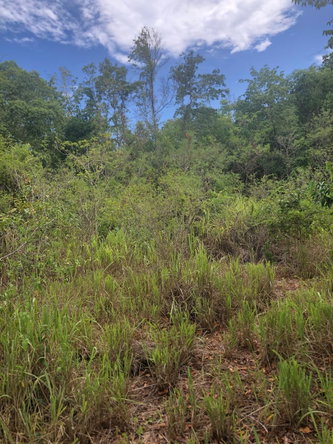 Twenty-Fourth image of 43 Breadnut Drive, Ocean Vie in Discovery Bay, St. Ann, Jamaica - property is For Sale