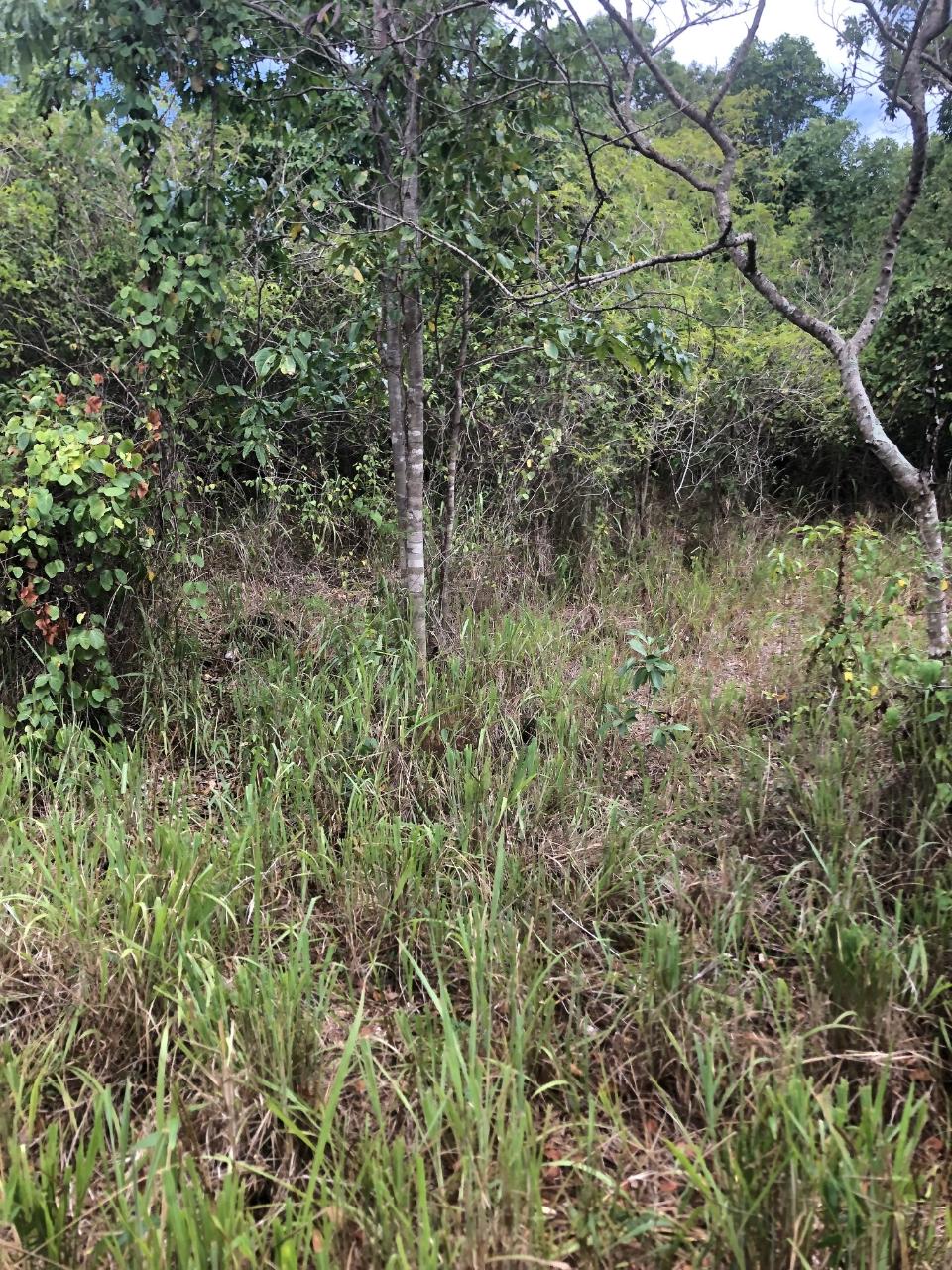 Twenty-Fifth image of 43 Breadnut Drive, Ocean Vie in Discovery Bay, St. Ann, Jamaica - property is For Sale