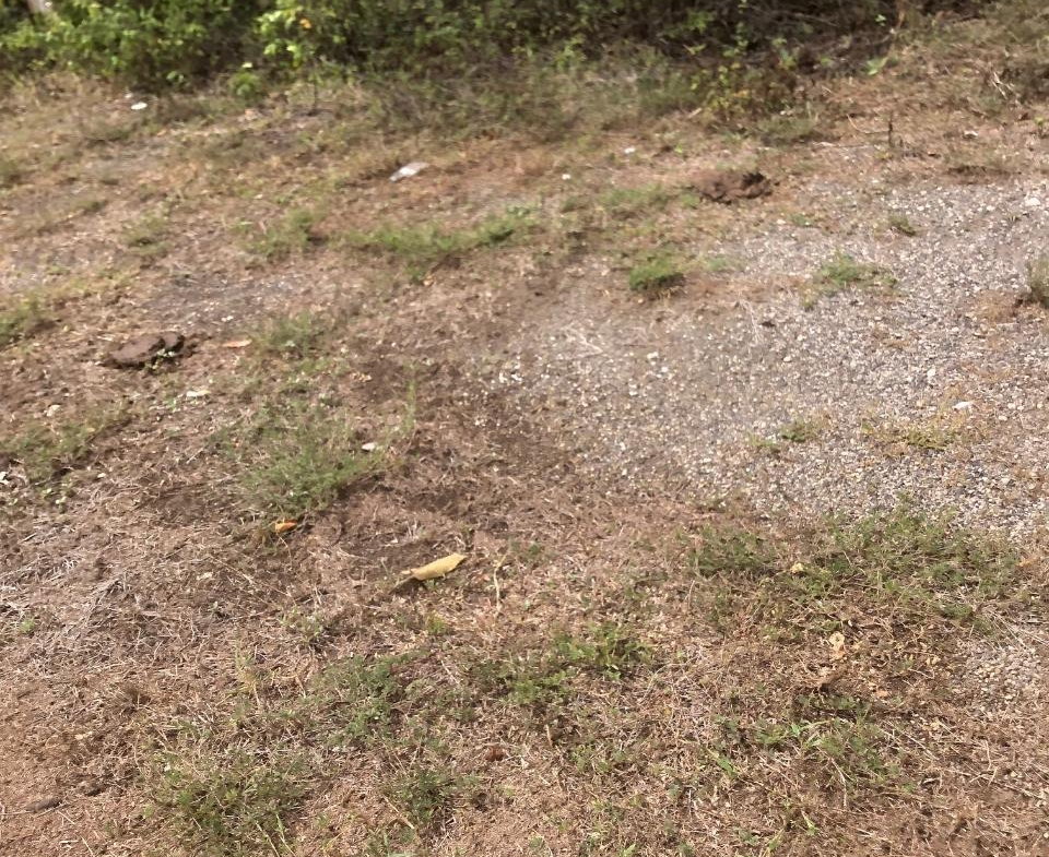 Twenty-Sixth image of 43 Breadnut Drive, Ocean Vie in Discovery Bay, St. Ann, Jamaica - property is For Sale