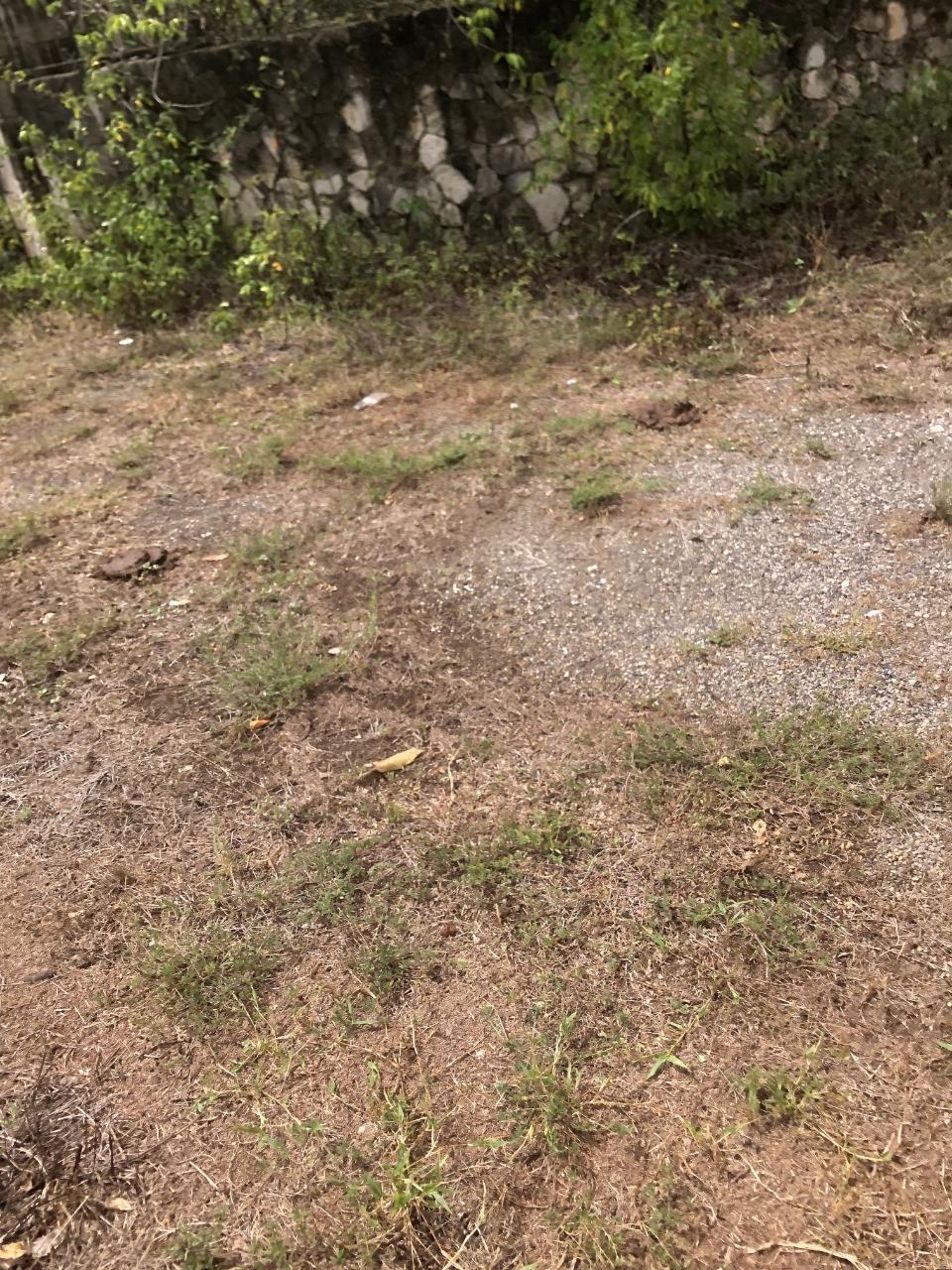 Twenty-Sixth image of 43 Breadnut Drive, Ocean Vie in Discovery Bay, St. Ann, Jamaica - property is For Sale
