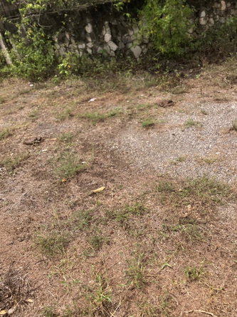 Twenty-Sixth image of 43 Breadnut Drive, Ocean Vie in Discovery Bay, St. Ann, Jamaica - property is For Sale