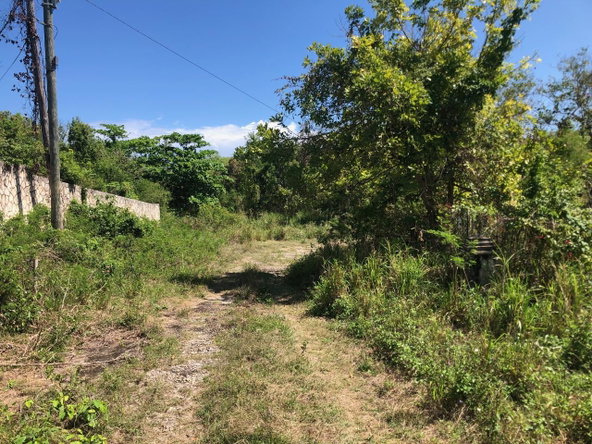 Fourth image of 43 Breadnut Drive, Ocean Vie in Discovery Bay, St. Ann, Jamaica - property is For Sale