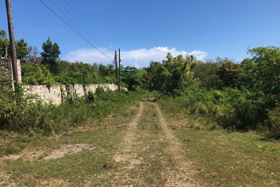 Fifth image of 43 Breadnut Drive, Ocean Vie in Discovery Bay, St. Ann, Jamaica - property is For Sale