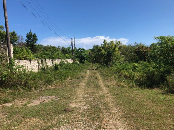 Fifth image of 43 Breadnut Drive, Ocean Vie in Discovery Bay, St. Ann, Jamaica - property is For Sale