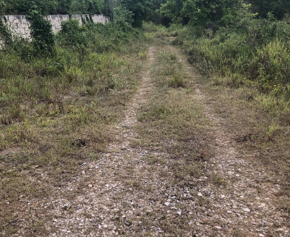 Sixth image of 43 Breadnut Drive, Ocean Vie in Discovery Bay, St. Ann, Jamaica - property is For Sale