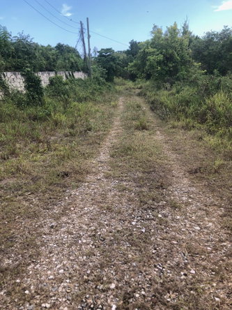 Sixth image of 43 Breadnut Drive, Ocean Vie in Discovery Bay, St. Ann, Jamaica - property is For Sale