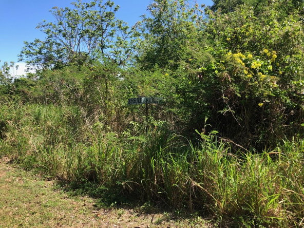 Eighth image of 43 Breadnut Drive, Ocean Vie in Discovery Bay, St. Ann, Jamaica - property is For Sale
