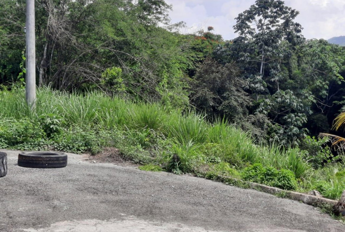 Third image of 80 Hortense Brown Close in Irwin, St. James, Jamaica - property is For Sale