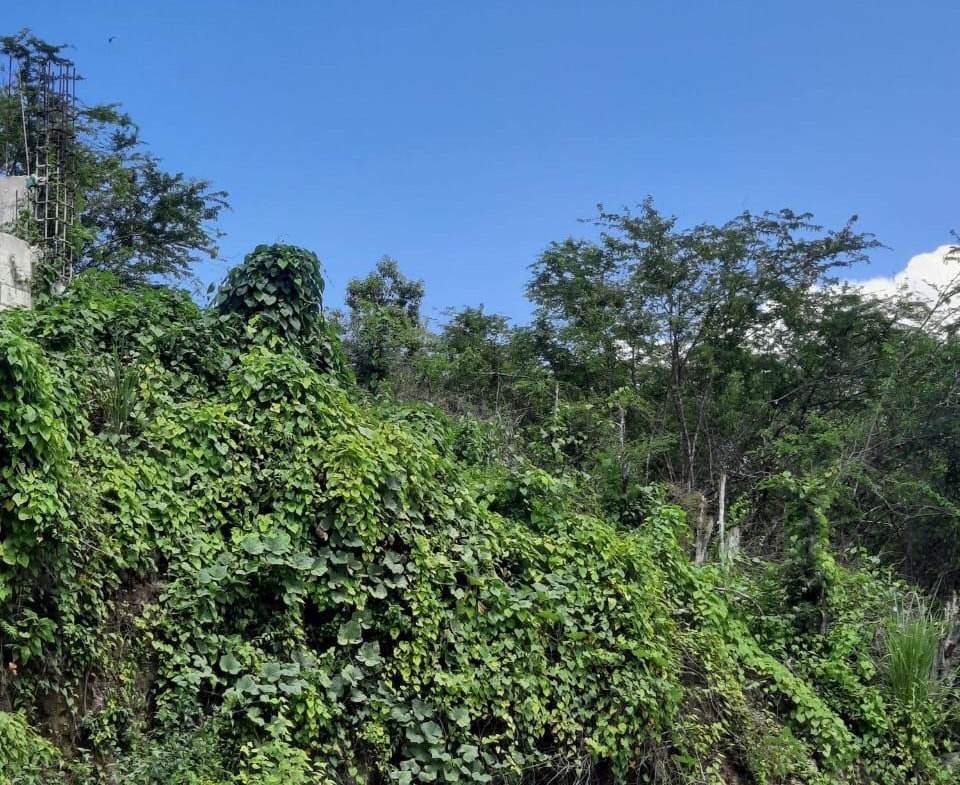 Fifth image of 80 Hortense Brown Close in Irwin, St. James, Jamaica - property is For Sale