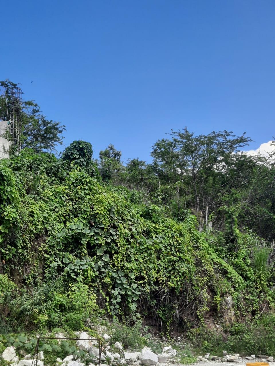 Fifth image of 80 Hortense Brown Close in Irwin, St. James, Jamaica - property is For Sale