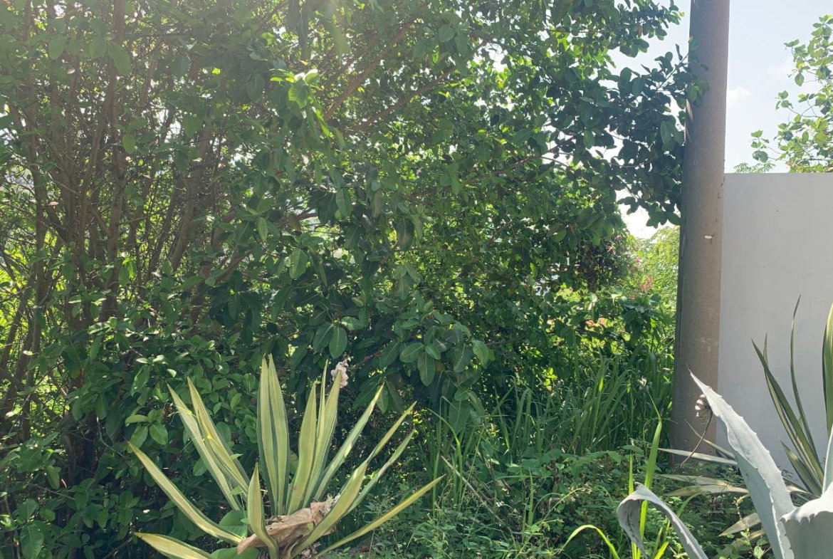 Fifth image of Lots-15 & 15a Diamond Court in Kingston 9, St. Andrew, Jamaica - property is For Sale