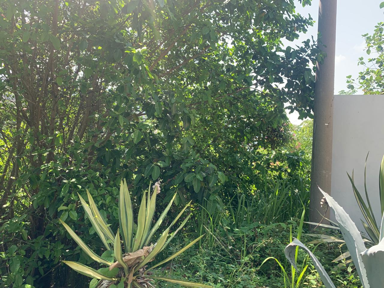 Fifth image of Lots-15 & 15a Diamond Court in Kingston 9, St. Andrew, Jamaica - property is For Sale