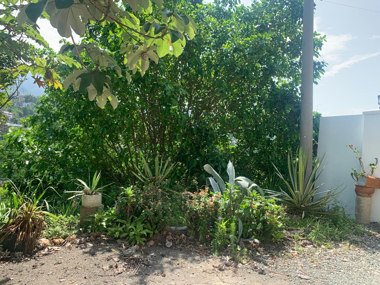 Sixth image of Lots-15 & 15a Diamond Court in Kingston 9, St. Andrew, Jamaica - property is For Sale