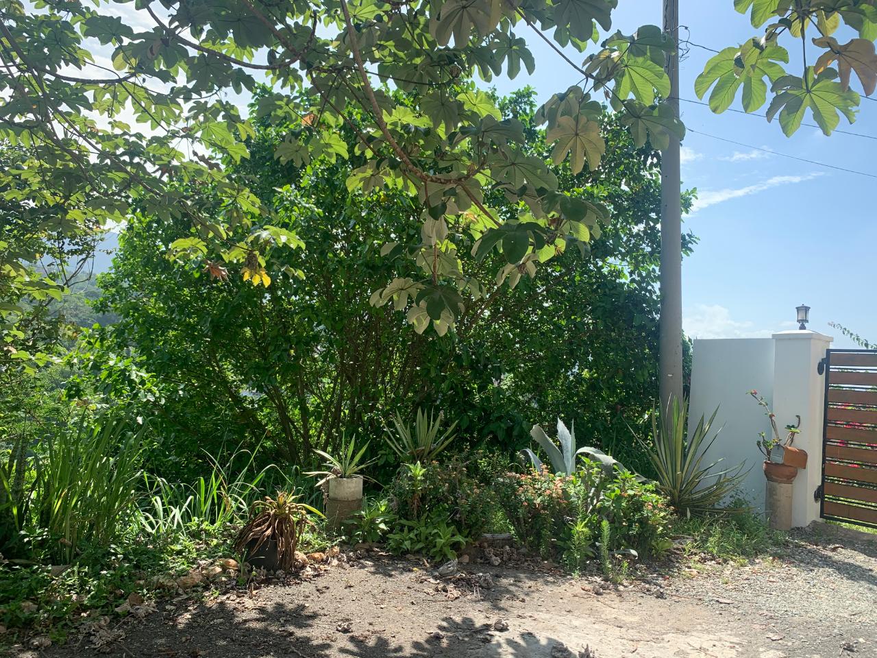 Seventh image of Lots-15 & 15a Diamond Court in Kingston 9, St. Andrew, Jamaica - property is For Sale