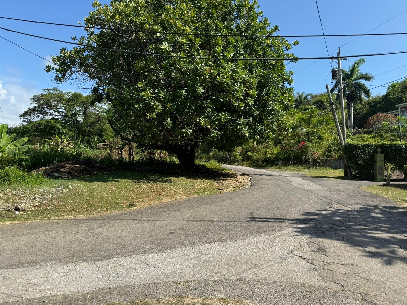 Third image of 18- Tamarind Hill, Hanover in Round Hill, Hanover, Jamaica - property is For Sale