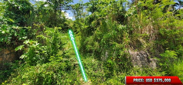 Eighth image of 18- Tamarind Hill, Hanover in Round Hill, Hanover, Jamaica - property is For Sale