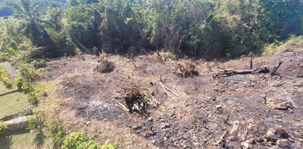 Second image of 633- Azalea Loop in Three Hills, St. Mary, Jamaica - property is For Sale