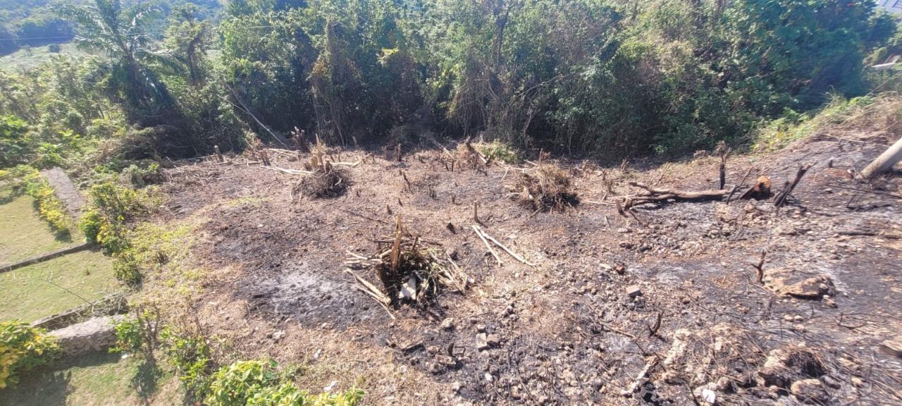 Second image of 633- Azalea Loop in Three Hills, St. Mary, Jamaica - property is For Sale