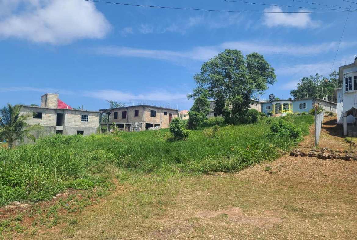 Third image of 646- Industry Pen in Three Hills, St. Mary, Jamaica - property is For Sale