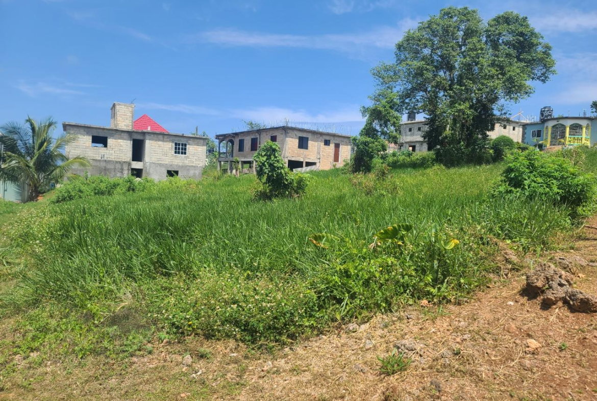 Fourth image of 646- Industry Pen in Three Hills, St. Mary, Jamaica - property is For Sale