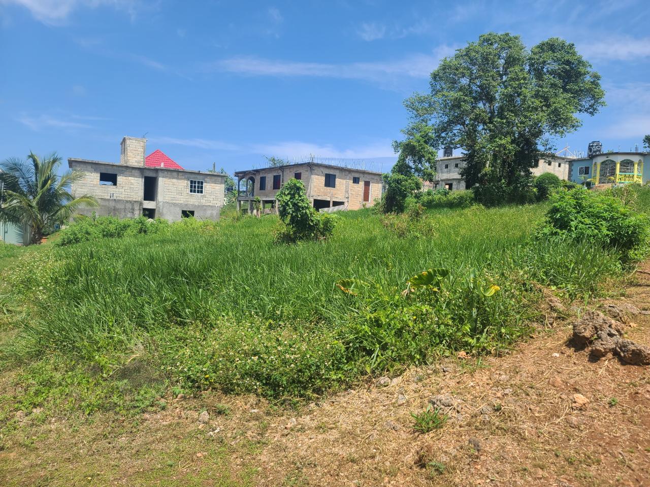 Fourth image of 646- Industry Pen in Three Hills, St. Mary, Jamaica - property is For Sale