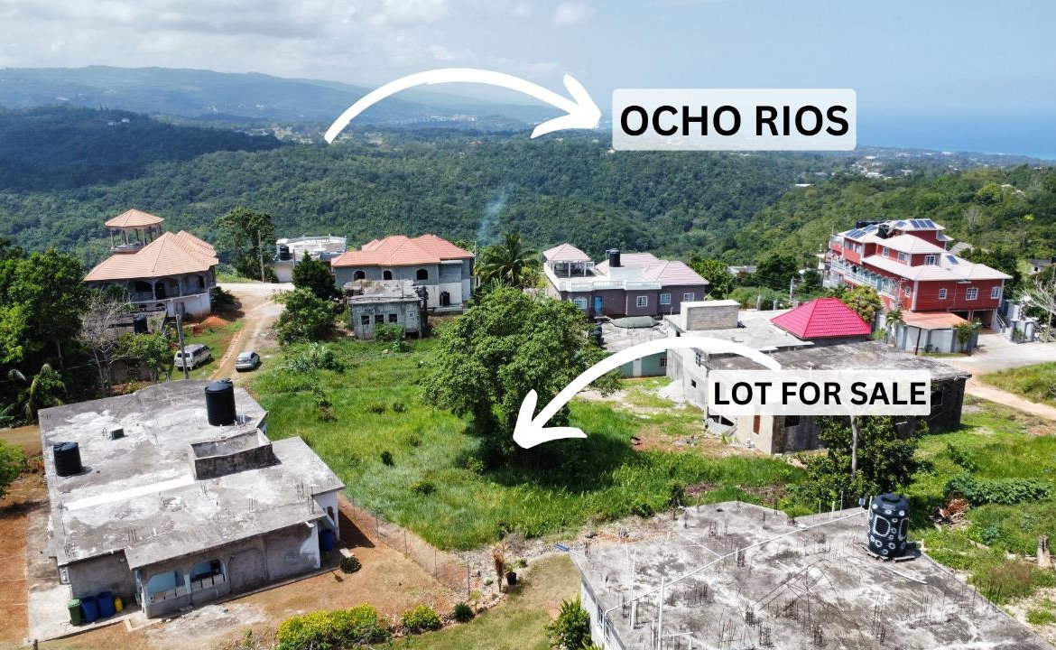 Eighth image of 646- Industry Pen in Three Hills, St. Mary, Jamaica - property is For Sale