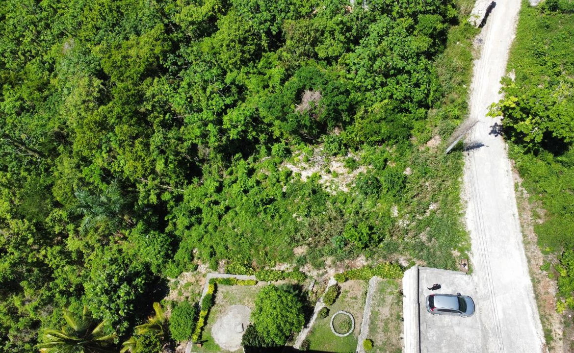Fifth image of 633- Azalea Loop in Three Hills, St. Mary, Jamaica - property is For Sale