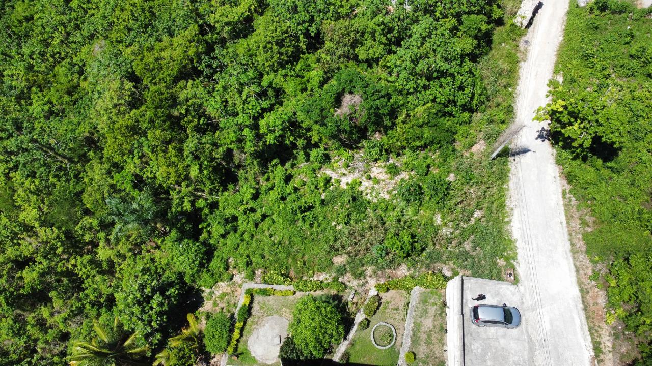 Fifth image of 633- Azalea Loop in Three Hills, St. Mary, Jamaica - property is For Sale