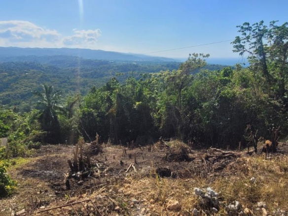 First image of 633- Azalea Loop in Three Hills, St. Mary, Jamaica - property is For Sale