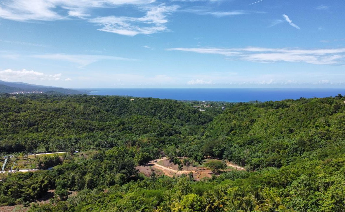 Ninth image of 633- Azalea Loop in Three Hills, St. Mary, Jamaica - property is For Sale